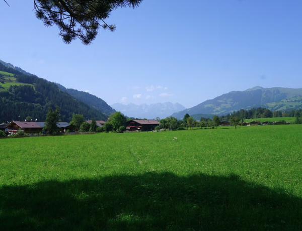 Lorenz Immobilien Objekt Wilder Kaiser 2